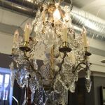 813 5590 CHANDELIER